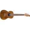 Fender Tenor Ukulele Rincon with Fishman Preamp & Gigbag 971652121