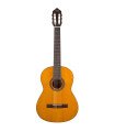 Valencia 200 Series Classical Guitar 4/4 size Antique Natural with Truss Rod VC214