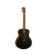 Kepma ES36-E TRANS K10 Semi - Acoustic Guitar