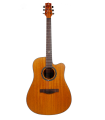 Strydom Performance Series P141C NM - Dreadnaught shaped Acoustic Guitar