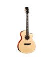 Kepma A1E GA Electro-Acoustic guitar with Lr baggs stage pro anthem pick up