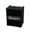 Stranger Cube-40 Amplifier