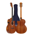 T-Fly TF239CME Electro-Acoustic Guitar