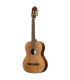 Ortega R23RO Thermo Series Acoustic Guitar