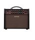 Boss ACS-LIVE LT 60W Acoustic Guitar Amplifier