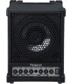 Roland CM 30 Monitor Speaker