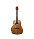 Richtone RT BG2 EQ NA Travel Electro-Acoustic Guitar - Mahogany