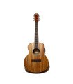 Richtone RT BG2 EQ NA Travel Electro-Acoustic Guitar - Mahogany