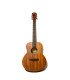 Richtone RT BG2 NA Travel Acoustic Guitar - All Mahogany