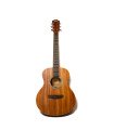 Richtone RT BG2 NA Travel Acoustic Guitar - All Mahogany