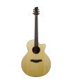 Strydom GA241C Acoustic guitar