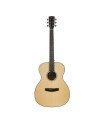 Hex F200M Sting Series Acoustic Guitar