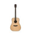 Hex D100M HIVE series Dreadnought Acoustic Guitar