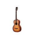 Hex P300HB/G Sting Series Acoustic Guitar - Honeyburst