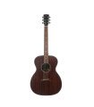 Hex F320M Sting Series Acoustic Guitar