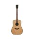 Hex D300M Sting Series Acoustic Guitar