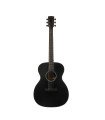 Hex F200M/BT Sting Series Acoustic Guitar