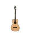 Hex P100M HIVE series Acoustic Guitar