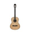 Hex C100M 39-Inch Classical Pollen Series Classical Guitar