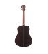 Hex D350G Sting Series Acoustic Guitar