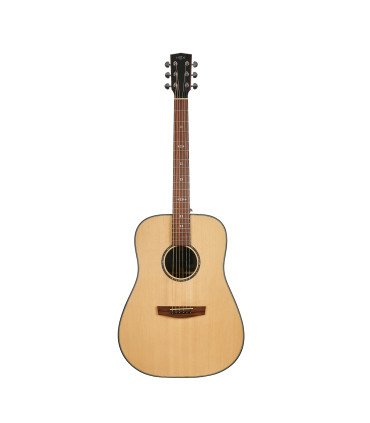 Hex D350G Sting Series Acoustic Guitar