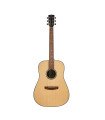 Hex D350G Sting Series Acoustic Guitar