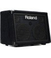 Roland KC-220 Battery Powered Stereo Keyboard Amplifier