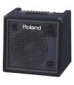 Roland KC-400 Stereo Mixing Keyboard Amplifier