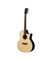 Hex GA450CE/G Hornet Series Electro-Acoustic Guitar