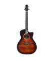 SQOE SQ-PFZL-A8FG Acoustic guitar with kit