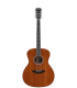 Orangewood OW-DANA-M 6 String GS-Mini Acoustic Guitar