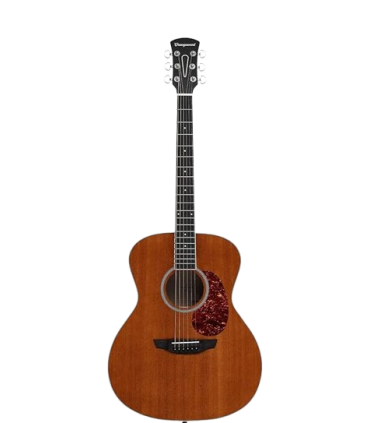 Orangewood OW-DANA-M 6 String GS-Mini Acoustic Guitar