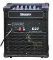 Stranger Cube C27 Guitar Amplifier