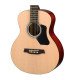 Walden T350 Acoustic Guitar, Travel Size, with Bag -Gloss Natural