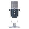 AKG ARA C22 USB Condenser Microphone