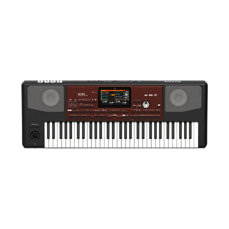 Korg PA-300 Professional Arranger Keyboard