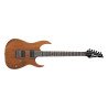 Ibanez Electric Guitar RG series Standard RG421MOL