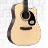 Saga SF600C Dreadnought Cutaway Acoustic Guitar