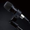 Lewitt Tailored Response Dynamic Performance Microphone for Toms and Snare Drums (DTP-340-TT)