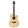 Westwood Acoustic Guitar AC-10 NATURAL