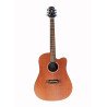 Westwood DC-10 Acoustic Guitar (Mahogany)