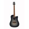 Westwood (DC-10 TBk) Acoustic Guitar (Transparent Black)