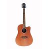 Westwood Electro-Acoustic Guitar (DC-10E Mahogany)