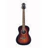 Westwood (MD-340) Junior Acoustic Guitar (Oriental Retroburst)