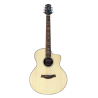 Westwood AJ-480FE NT  ACOUSTIC GUITAR