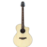 Westwood DC-480FE Dreadnought Cutaway Trans-Acoustic Guitar - Natural