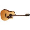 Cort Acoustic Guitar Gold Series