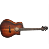 Cort Core Series Core GA Blackwood Electro Acoustic Guitar