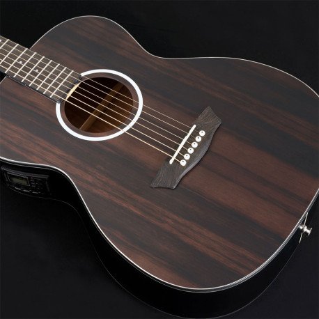 Washburn DFEFE-A-U Deep Forest Ebony FE Electro-Acoustic Guitar - Striped Ebony