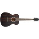 Washburn DFEFE-A-U Deep Forest Ebony FE Electro-Acoustic Guitar - Striped Ebony